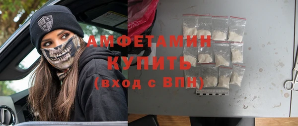 молекула духа Арсеньев