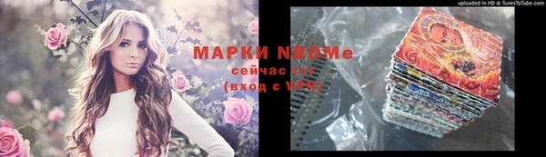 молекула духа Арсеньев