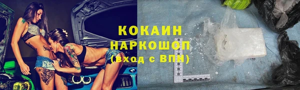 сатива Аркадак
